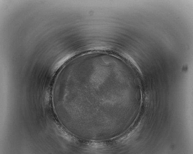 X0000090760874200707271504