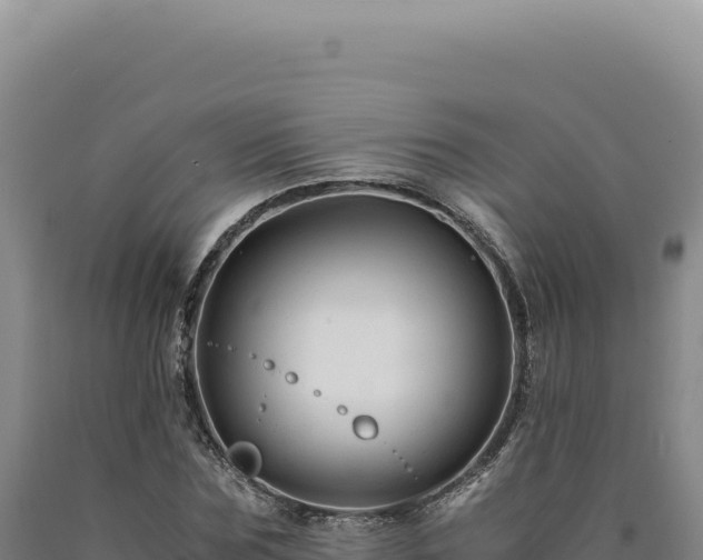 X0000090760875200707271504