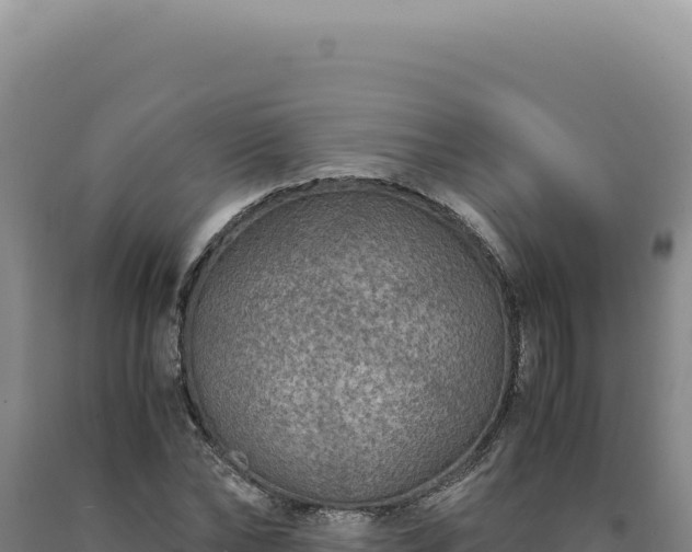 X0000090760878200707271504