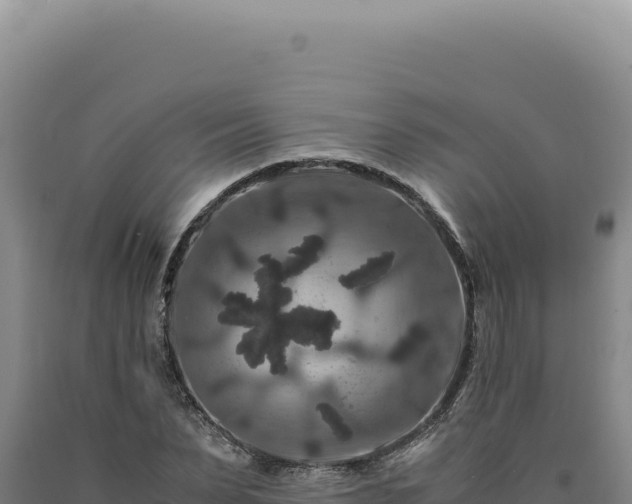 X0000090760879200707271504