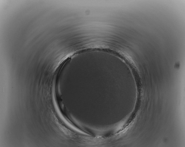 X0000090760881200707271504