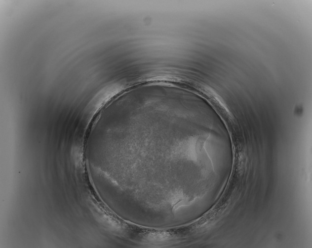 X0000090760882200707271504