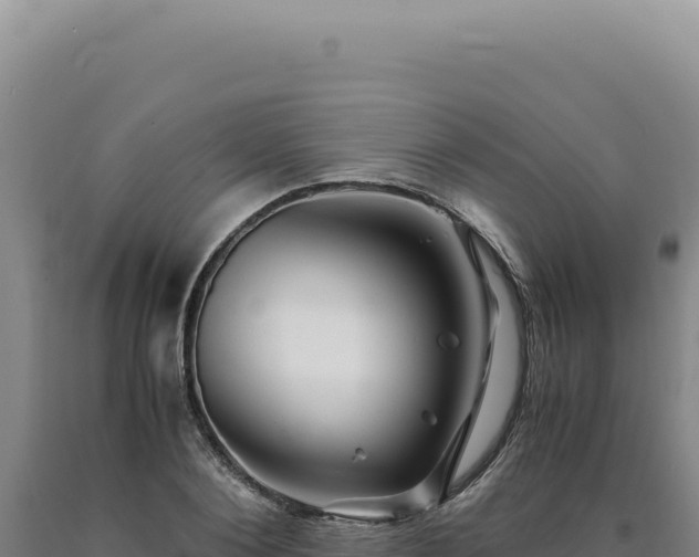 X0000090760884200707271504