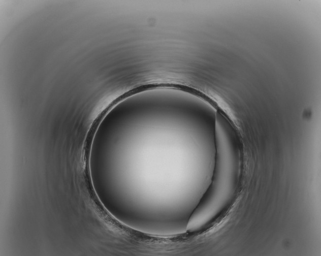 X0000090760885200707271504