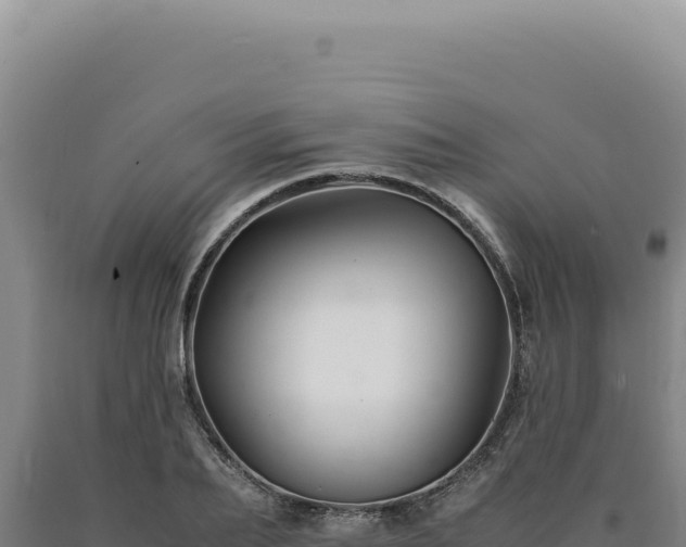 X0000090760887200707271504