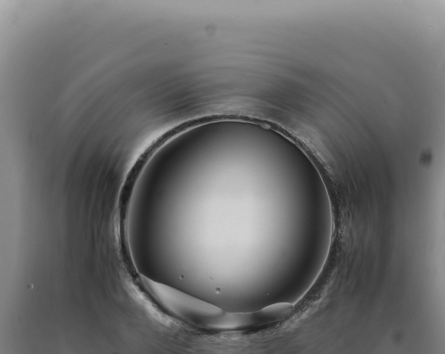 X0000090760888200707271504