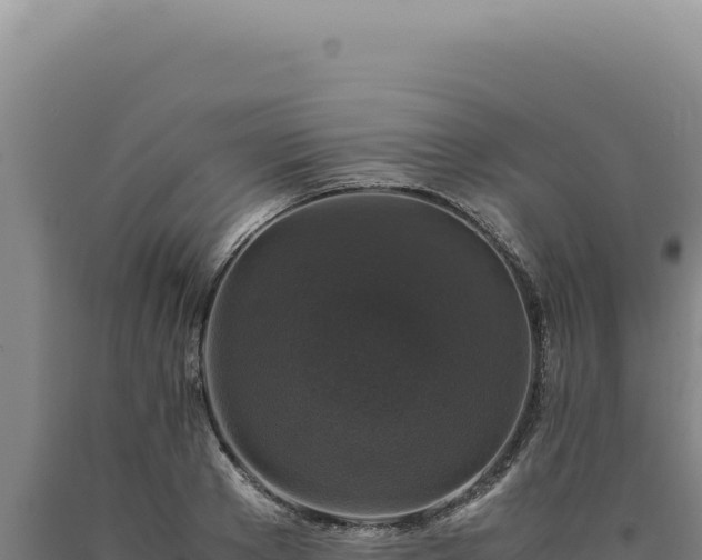 X0000090760889200707271504