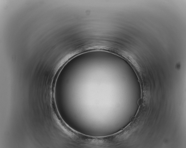 X0000090760890200707271504