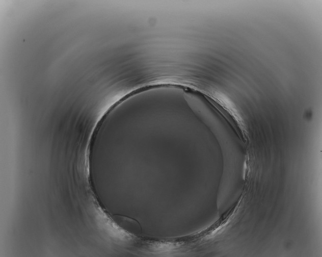 X0000090760892200707271504