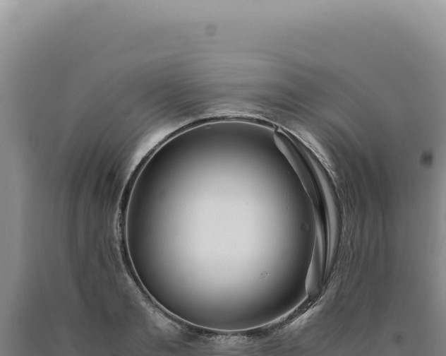 X0000090760893200707271504