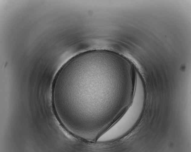 X0000090760894200707271504