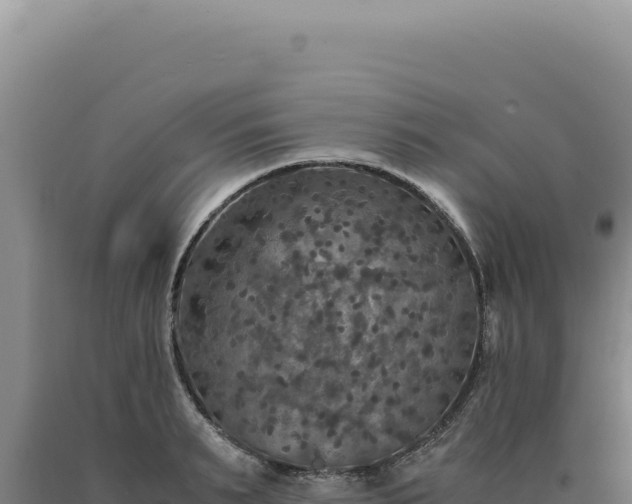 X0000090760895200707271503