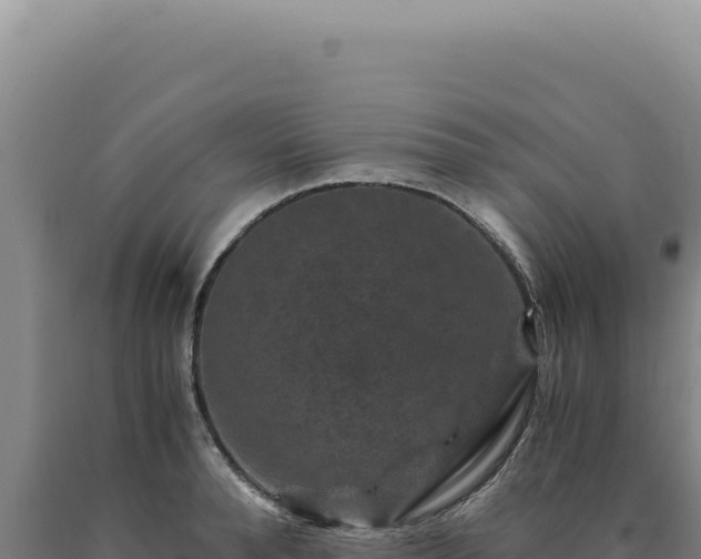 X0000090760896200707271503