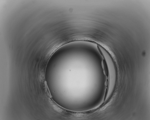 X0000090760897200707271503