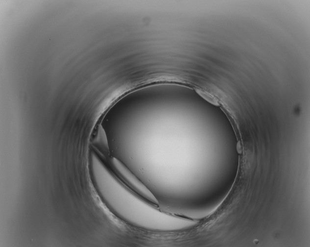 X0000090760898200707271503