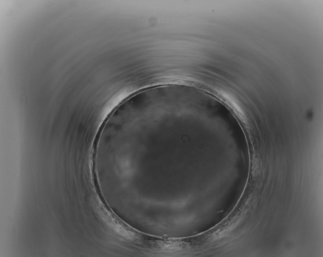 X0000090760899200707271503