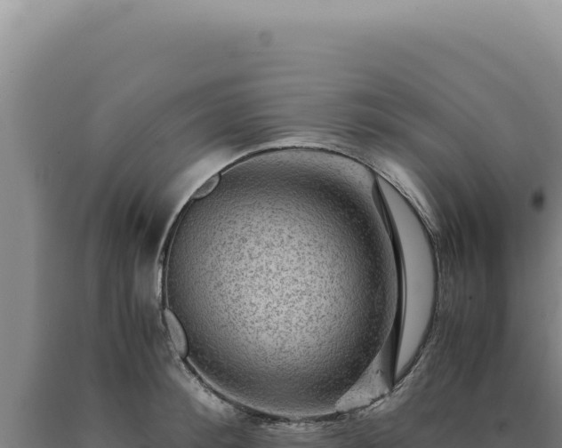 X0000090760900200707271503