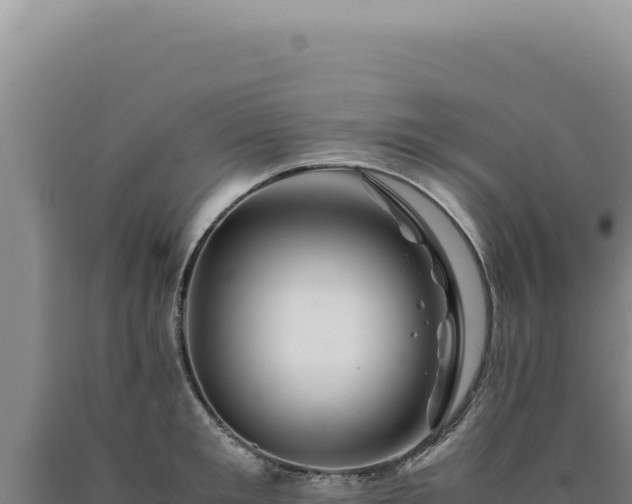 X0000090760901200707271503