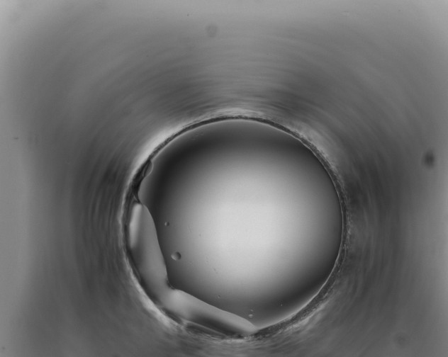 X0000090760902200707271503