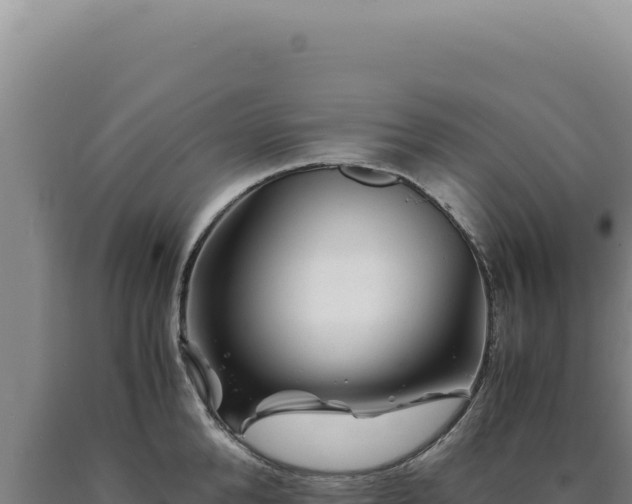 X0000090760904200707271503