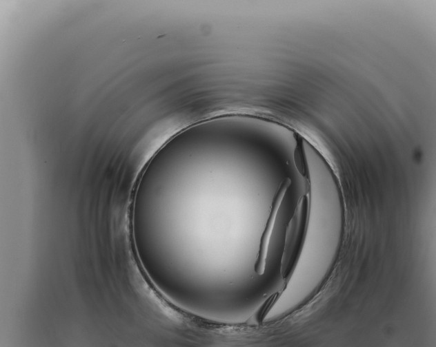 X0000090760906200707271503