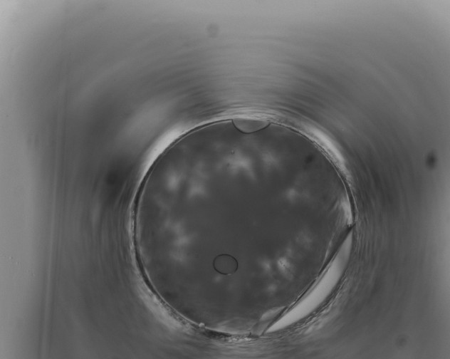 X0000090760907200707271503