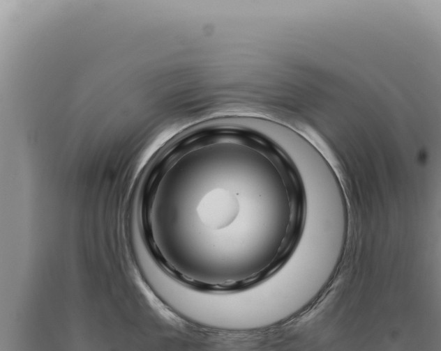 X0000090760909200707271503