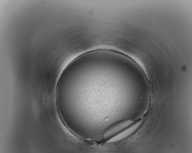 X0000090760911200707271503