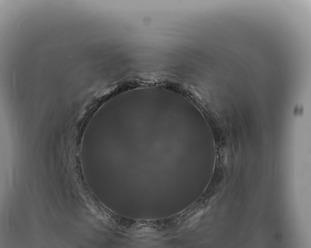 X0000090760913200707271503