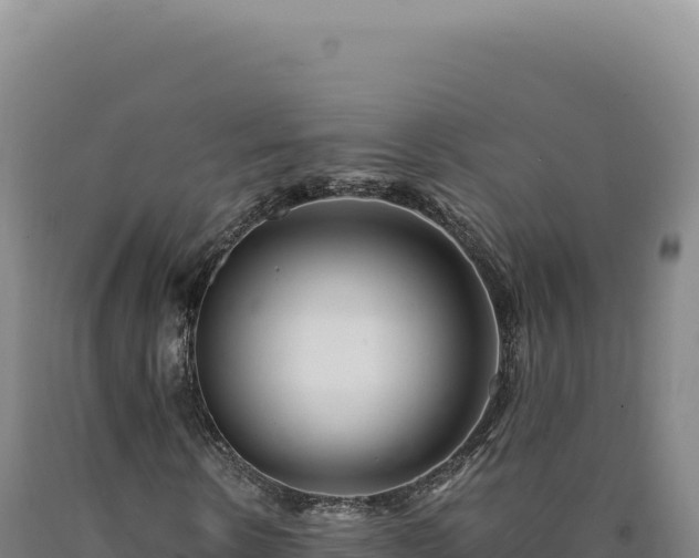 X0000090760914200707271503