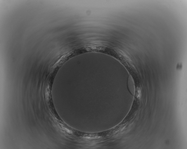 X0000090760915200707271503