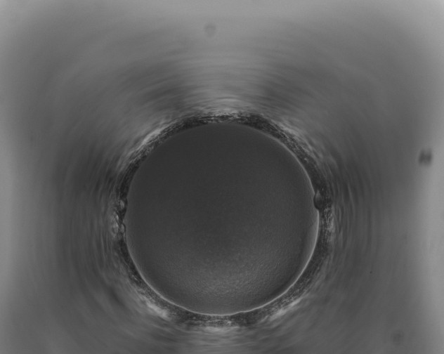 X0000090760916200707271503