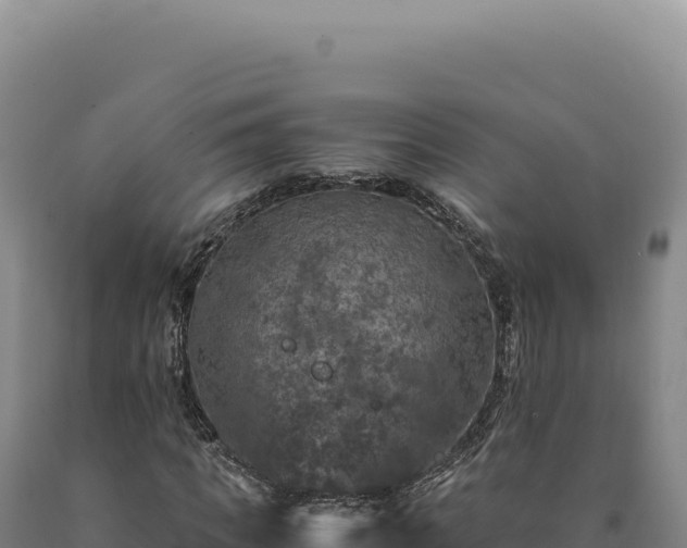 X0000090760917200707271503