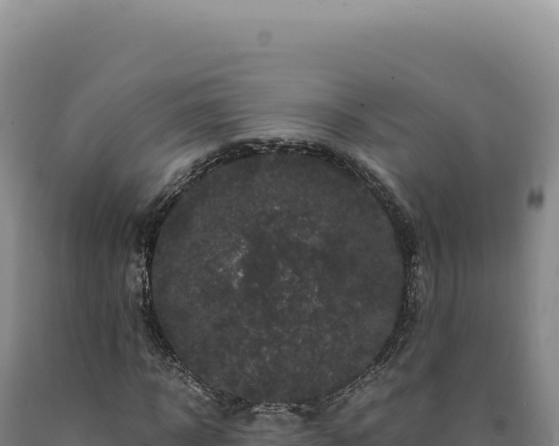 X0000090760918200707271503