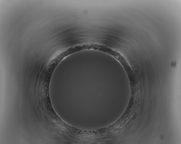 X0000090760919200707271503