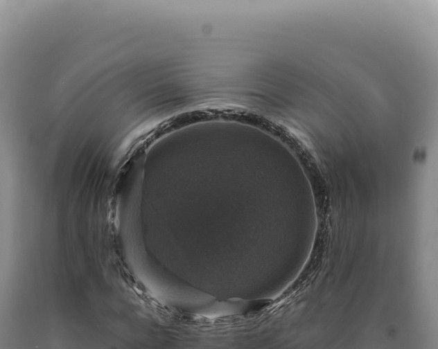 X0000090760920200707271503