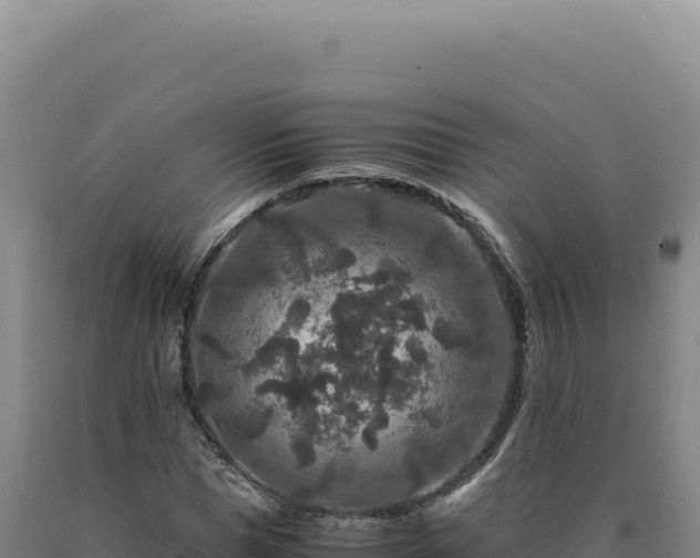 X0000090760921200707271503