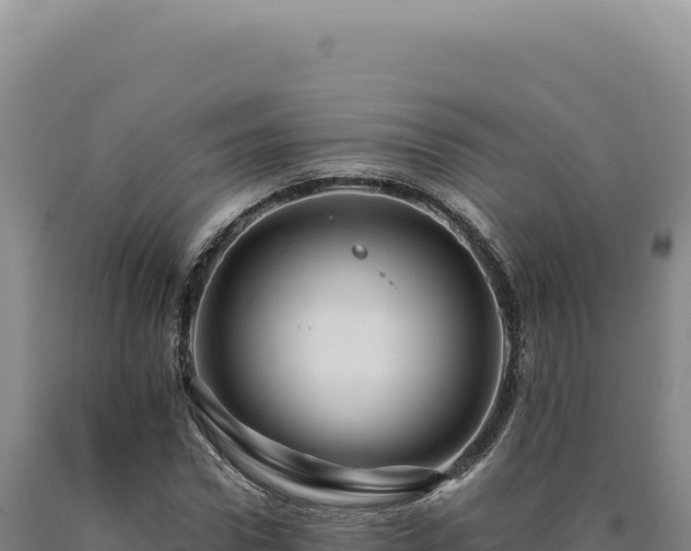 X0000090760922200707271503