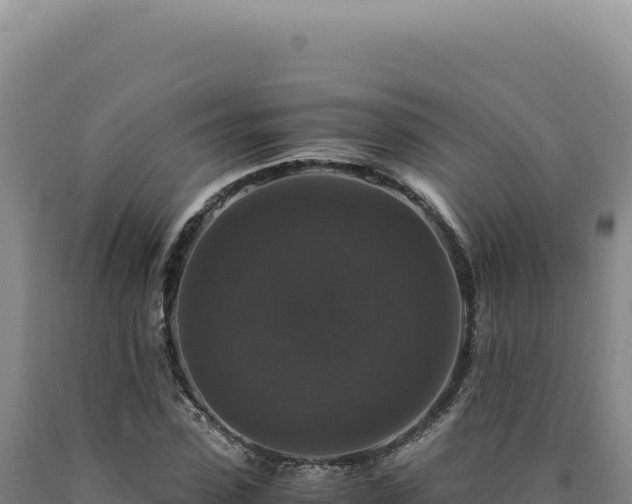 X0000090760923200707271503