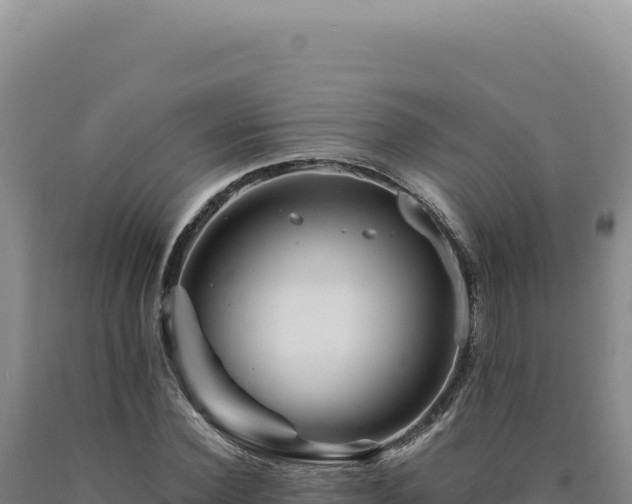 X0000090760924200707271503