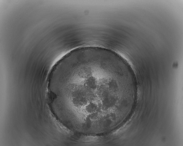 X0000090760925200707271503