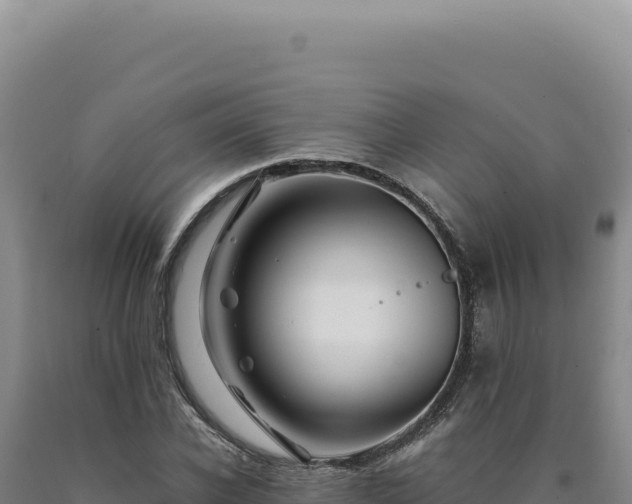 X0000090760926200707271503