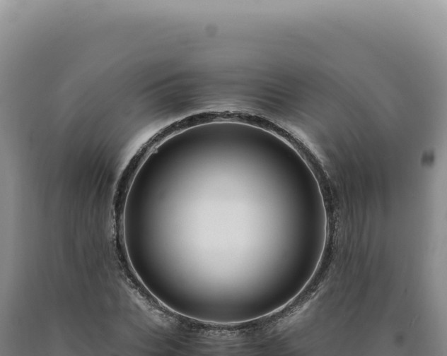 X0000090760927200707271503