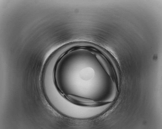 X0000090760928200707271503