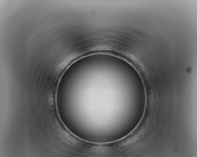 X0000090760929200707271503