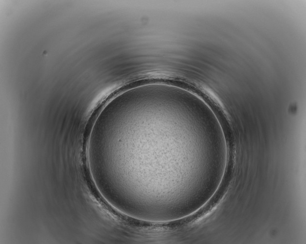 X0000090760930200707271503