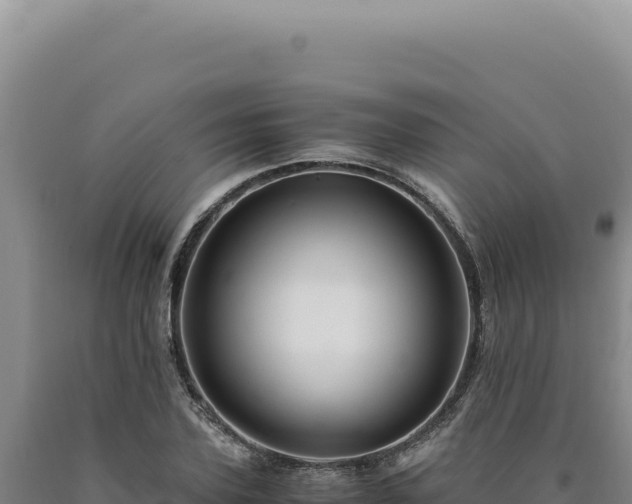 X0000090760931200707271503