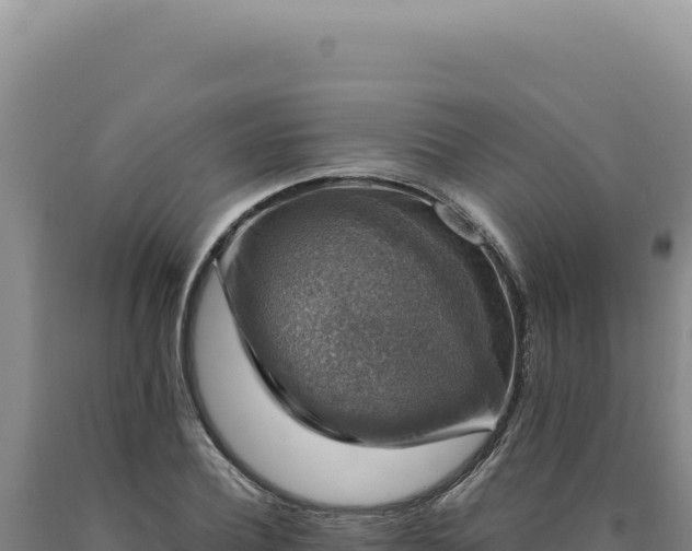 X0000090760932200707271503