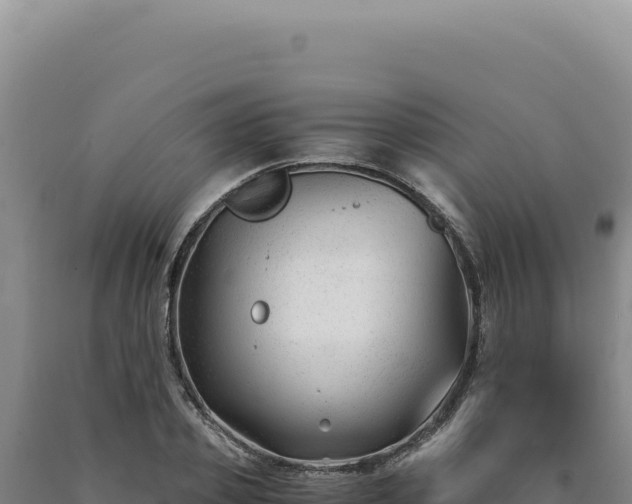 X0000090760933200707271503