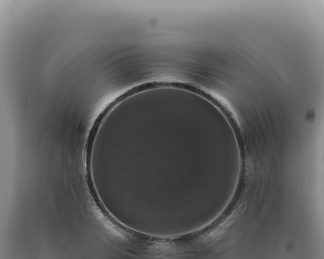 X0000090760935200707271503